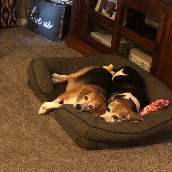 Meet your Posher, Brittney - Picture 12 of 15